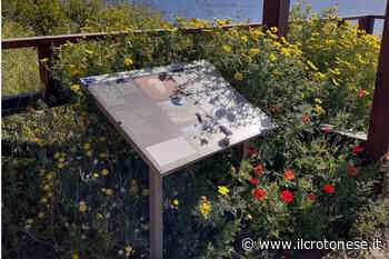 Capocolonna, parco archeologico inaccessibile: nessuno ha tagliato l'erba - Il Crotonese