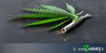 È legale fumare erba in Italia? - Money.it