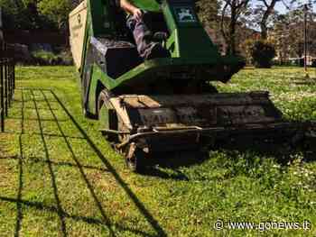 Sfalci dell’erba al via a Pisa - gonews