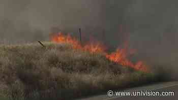 Reportan incendio de maleza en el noreste de Fresno - Univision