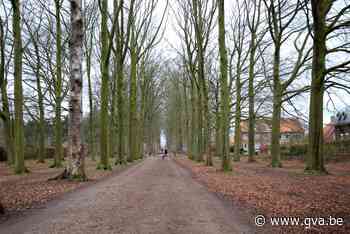 Historische bomendreef wordt vervangen omwille van NAVO-kero... (Boechout) - Gazet van Antwerpen Mobile - Gazet van Antwerpen
