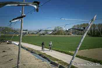 Fietsen met rockers Bert en Mattias: “Met muzikanten kan je een peloton vullen” - Het Belang van Limburg