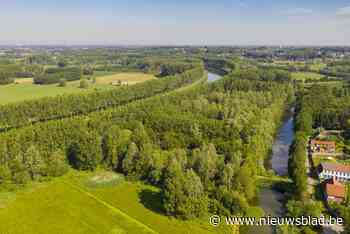 Provincie koopt 25 hectare natuurgebied aan in Scheldevallei: “Hopen op een comeback van de bever en de otter”