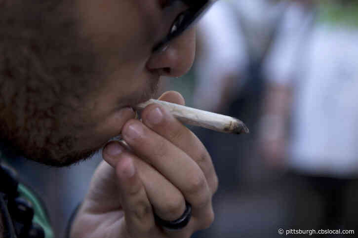 Chippewa Township Passes Ordinance To Decriminalize Marijuana Possession