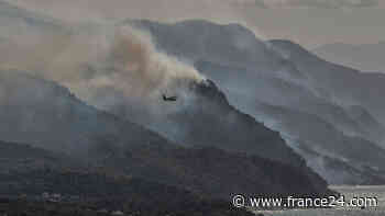 Greek firefighters hopeful of containing forest blaze - FRANCE 24