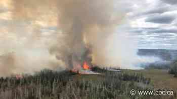 Crews battle 2 'erratic' forest fires near Barrington - CBC.ca