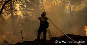 U.S. proposes big increase in forest management to tackle wildfires - Reuters