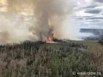 Update On Double Forest Fire In Barrington - CKBW
