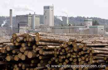 Bridging program helps nearly 840 forest workers retire early - Prince George Citizen