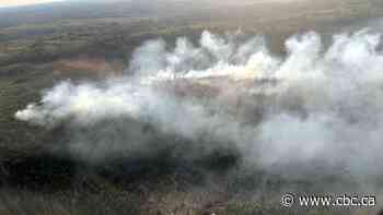 Crews fighting Falmouth forest fire - CBC.ca