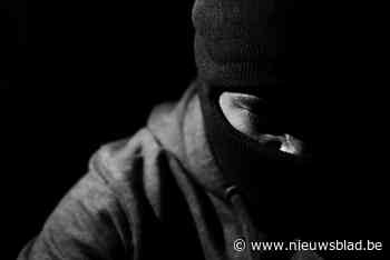 Dieven proberen graafmachine te stelen (Kasterlee) - Het Nieuwsblad