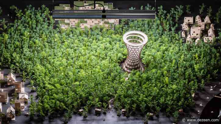 EFFEKT plants 1,200 trees to grow during the Venice Architecture Biennale