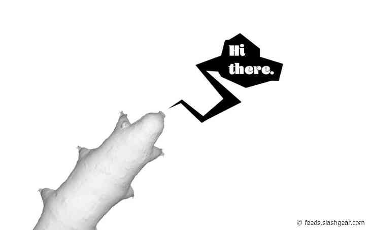 Scientists made tardigrade bullets to test space travel water bear ballistics