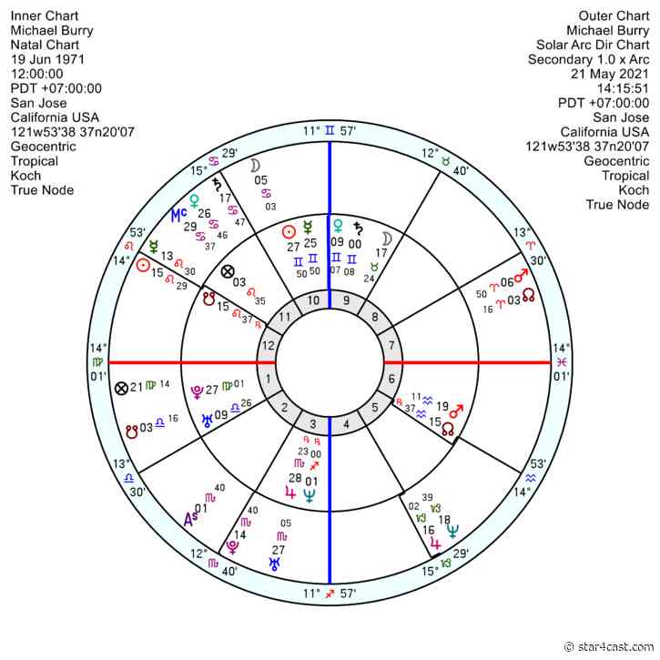 Elon Musk – mischievous mastermind +Michael Burry