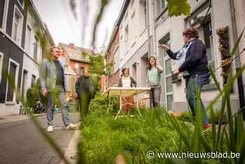 Korte Veluwestraat groeit uit tot eerste volwaardige Mechelse straattuin
