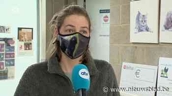 Noodkreet bij asielen: “Hoe langer hoe moeilijker om de touwtjes aan mekaar te knopen”