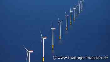 Grüne Investments - Boom oder Blase?