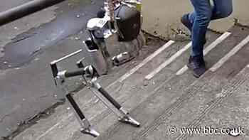 Robot scales stairs without ‘seeing’ and other news