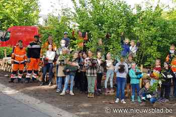 Leerlingen Sterbos herstellen bosrand aan hun school