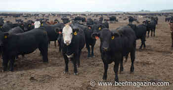 Despite COVID-19, Iowa leads meat production