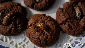 Curious what cicadas taste like? Cicada recipes could help you find out