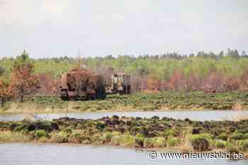 Bataljon van duizend schapen moet Groot Schietveld redden