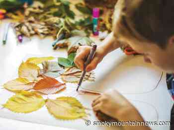 Community shows support for arts education - Smoky Mountain News