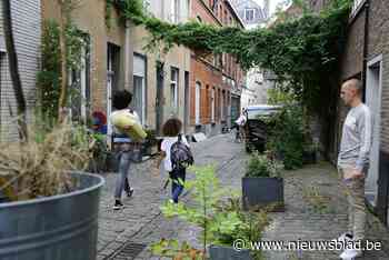 Berchem wordt groener: wie gevel of straat aanpakt, krijgt centen
