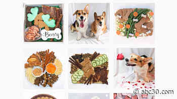 Chicago business offers charcuterie board for dogs across country