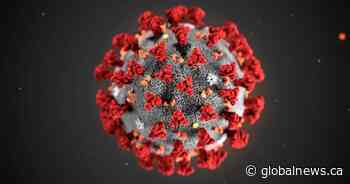 COVID-19: Saskatchewan reports 2 more deaths and 173 new cases