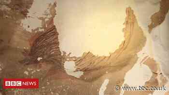 Indonesia: Climate change destroying world's oldest animal painting