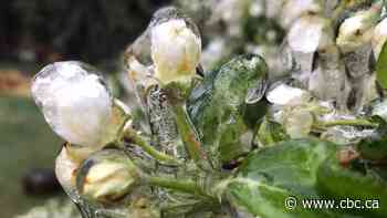 Saskatchewan's deep freeze follows balmy 30 C weather