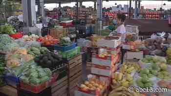 Houston Farmers Market: The new shop is stocked with fresh fruits and vegetables for customers - KTRK-TV