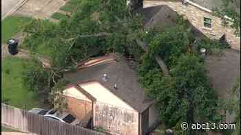 Houston residents escape home after tree crashes down without warning in NE Houston - KTRK-TV