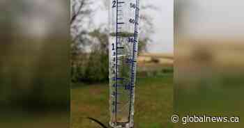 Cool long weekend, wet Monday expected for Prairies: Environment Canada