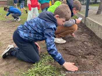11.000 kinderen zetten jarig Bosland in de bloemetjes