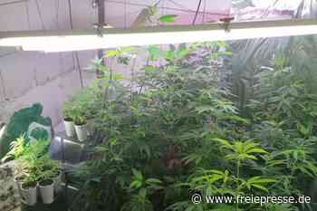 Marihuana-Fund in Lengenfelder Wohnung - Freie Presse