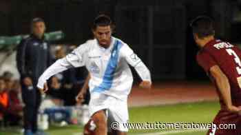 Matelica, l'uomo della provvidenza si chiama Balestero: il sogno playoff continua - TUTTO mercato WEB