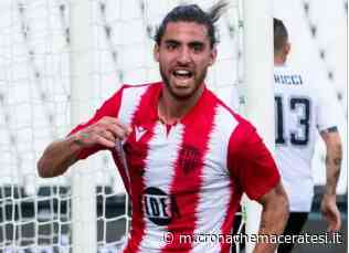 Matelica ai playoff nazionali: all'Helvia Recina arriva il Renate - Cronache Maceratesi