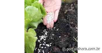 Inovação: referência no Sul do Brasil, empresa de Imbituba lança duas novas marcas de produtos com tecnologias exclusivas - Portal AHora