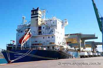 Operações de celulose completam um ano de execução no Porto de Imbituba - Engeplus