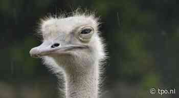 Jon Hagedoorn uit Arnhem zond in: bedreigen Marc van Ranst schuld van Marc van Ranst | ThePostOnline - ThePostOnline