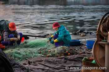Fermo pesca temporaneo 2021: firmato il nuovo decreto - dissapore