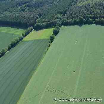 Feldwege in Mechernich werden überprüft - radioeuskirchen.de