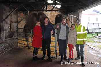 Na een jaar verplichte rust trekt Circus Barones eindelijk weer door het land: “Een circusfamilie als de onze, krijg je er niet zo gauw onder”<BR />
