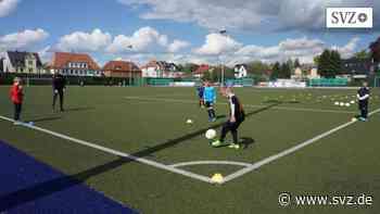 Vereinstraining in Ludwigslust-Parchim: Sportstätten im Freien werden wieder bunter | svz.de - svz – Schweriner Volkszeitung