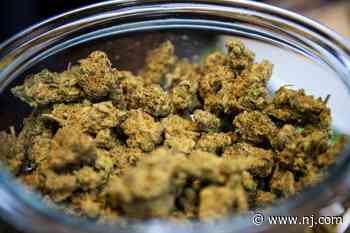 New medical cannabis dispensary opens in N.J. as industry keeps expanding - NJ.com