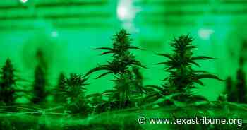 Texas medical marijuana advocates worry expansion bill won't pass - The Texas Tribune