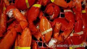 RCMP investigating alleged lobster theft from Eastern Passage, N.S. fishing boat - CTV News Atlantic