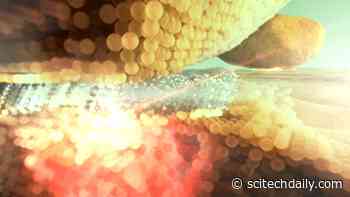 Green Light on Gold Atoms: Unexpected Findings From Metallic Nano-Antennas That Concentrate Light